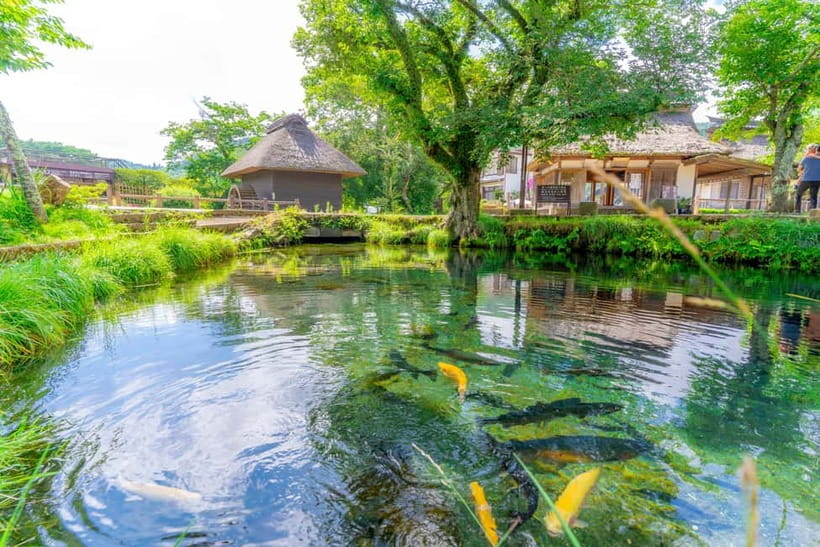 Tokyo: Mt. Fuji, Arakurayama Sengen Park, Oshino Hakkai Tour - How the $50 price measures up