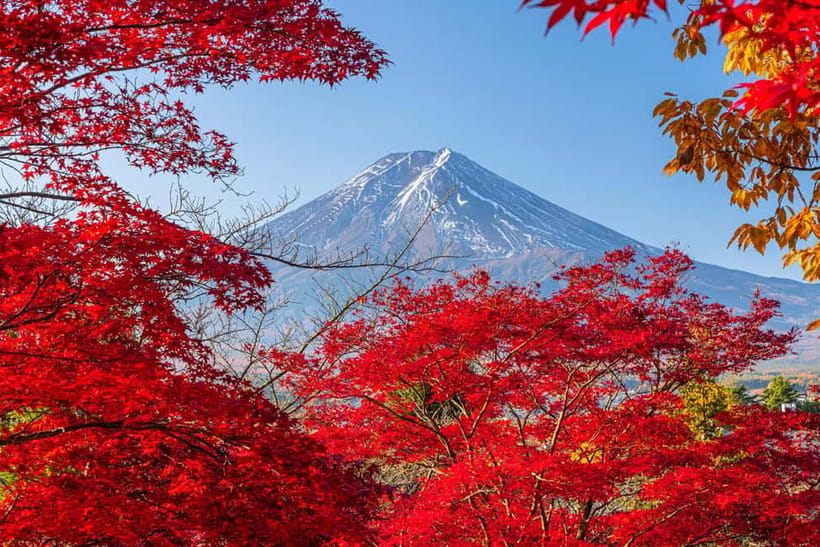 Tokyo: Mt. Fuji, Arakurayama Sengen Park, Oshino Hakkai Tour - Why this Mount Fuji day trip works