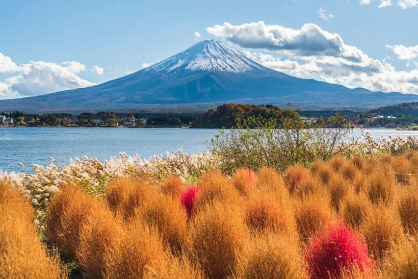 Tokyo: Mt. Fuji, Arakurayama Sengen Park, Oshino Hakkai Tour - Oshino Hakkai and its clear spring water