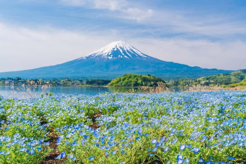 Tokyo: Mt. Fuji, Arakurayama Sengen Park, Oshino Hakkai Tour - Saiko Iyashi-no-Sato Nenba and old rural Japan
