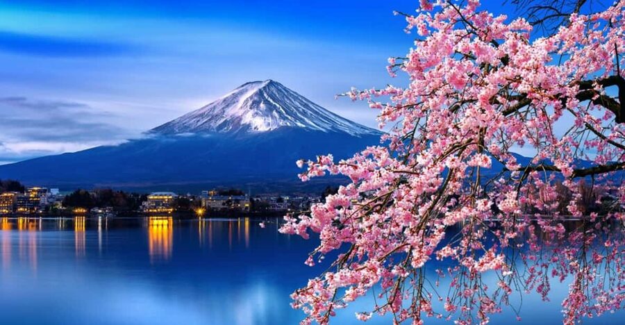 Tokyo: Mt. Fuji & Hakone Cherry Blossoms Private Day Tour - Why this private Fuji day is appealing