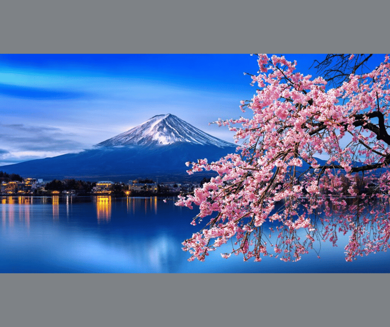 Tokyo: Mt. Fuji & Hakone Cherry Blossoms Private Day Tour - Climbing to Chureito Pagoda