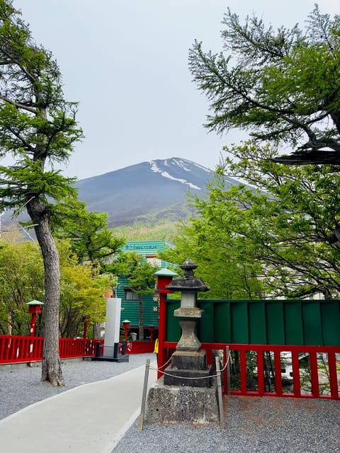 Tokyo: Mt. Fuji & Hakone Cherry Blossoms Private Day Tour - Walking beneath the old trees at Kitaguchi Hongu Fuji Sengen Jinja