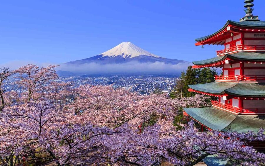 Tokyo: Mt. Fuji & Hakone Cherry Blossoms Private Day Tour - Reaching Fuji’s 5th Station after the two-hour drive