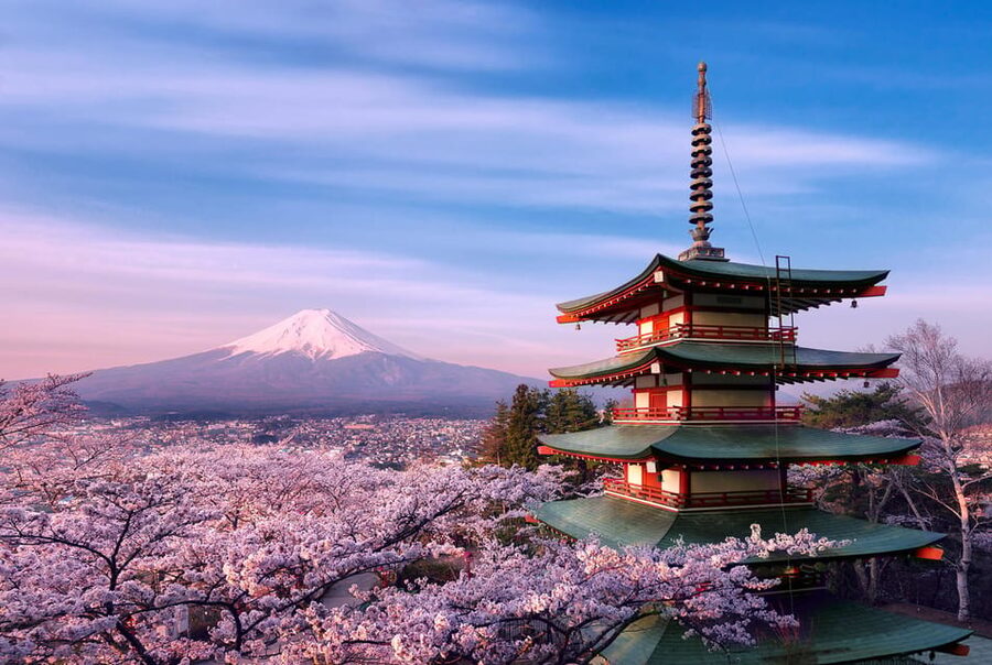 Tokyo:Mt Fuji & Hakone Day Tour with English Speaking Driver - Owakudani Valley and Hakone’s Volcanic Side