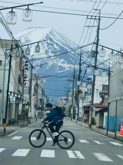 Tokyo: Mt-Fuji & Hakone Private Custom Tour English Driver - Chureito Pagoda and the famous Fuji photograph