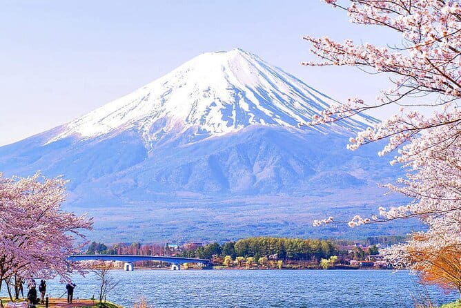 Tokyo Mt. Fuji Hakone Shrine, Owakudani, Lake Yamanakai Day Tour - Owakudani, Hakone’s smoking volcanic valley