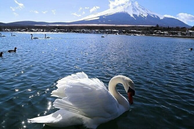 Tokyo Mt. Fuji Hakone Shrine, Owakudani, Lake Yamanakai Day Tour - Weather, timing, and the limits of a packed route