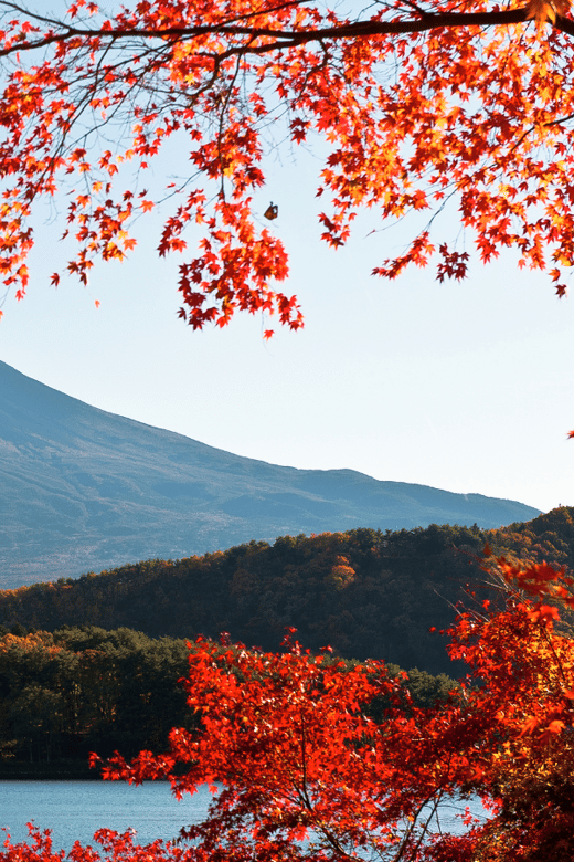 Tokyo: Mt. Fuji Hidden Gems and Aokigahara Forest Tour - Key points to know before booking
