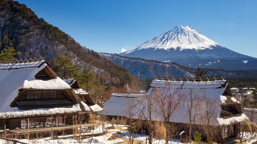 Tokyo: Mt. Fuji Hidden Gems and Aokigahara Forest Tour - The driver, car, and private-group value
