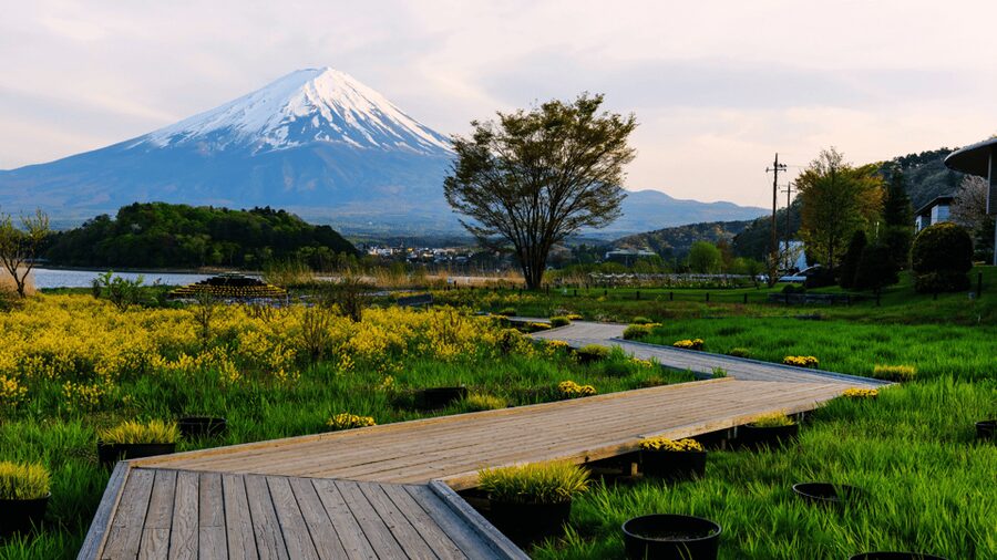 Tokyo: Mt. Fuji Hidden Gems and Aokigahara Forest Tour - Tatego-Hama Beach on Lake Motosuko