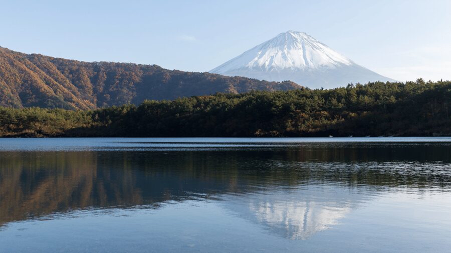 Tokyo: Mt. Fuji Hidden Gems and Aokigahara Forest Tour - Aokigahara Forest beyond its grim nickname