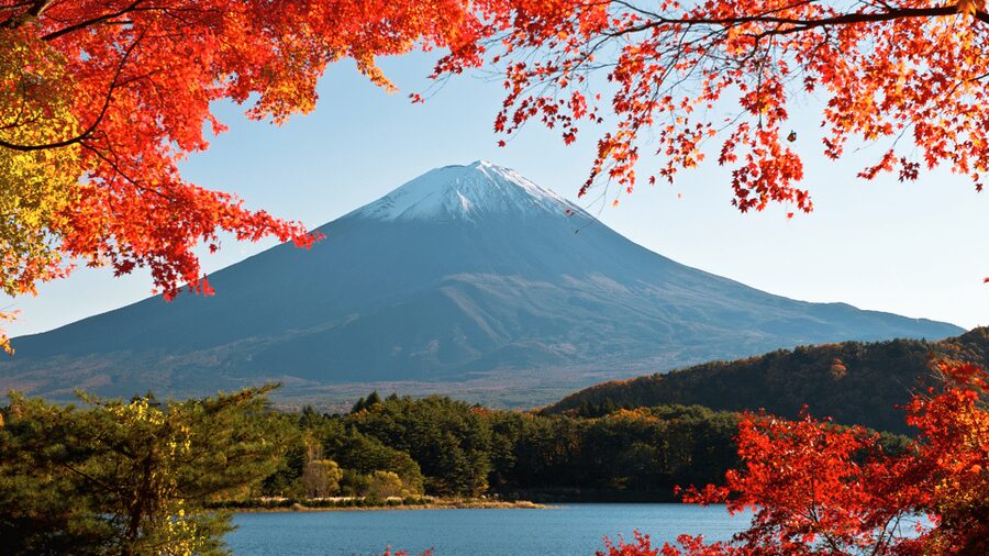 Tokyo: Mt. Fuji Hidden Gems and Aokigahara Forest Tour - Oishi Park and the first Fuji view