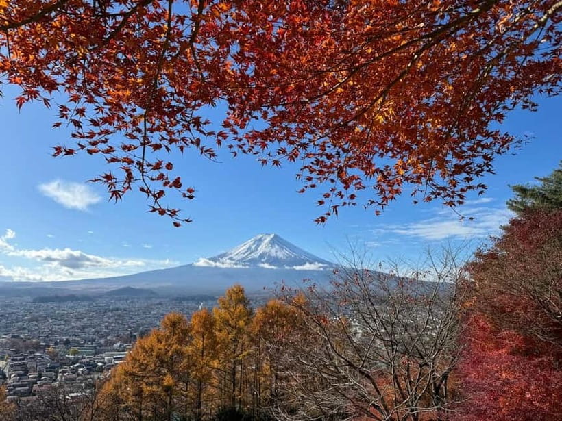 Tokyo: Mt. Fuji Highlights Tour with Lake Kawaguchi Cruise - One day, many faces of Mt. Fuji