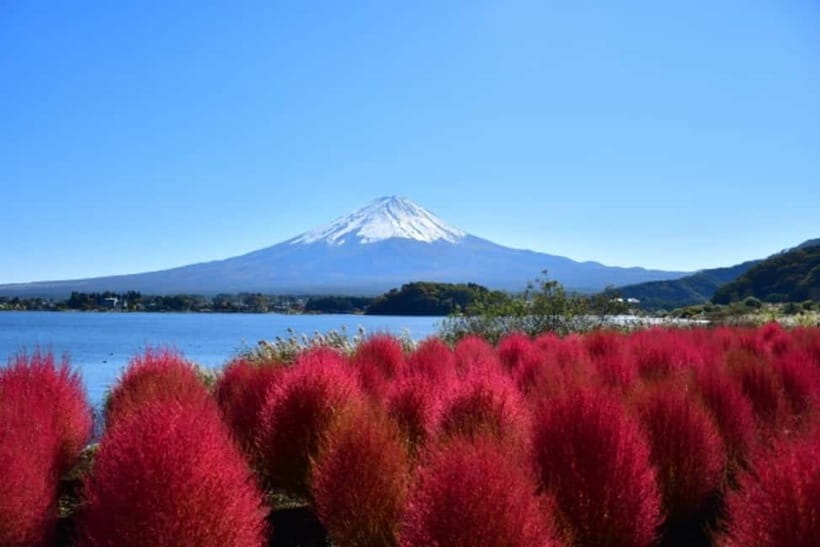 Tokyo: Mt. Fuji Highlights Tour with Lake Kawaguchi Cruise - Is $79 good value?