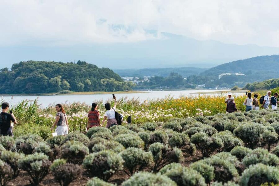 Tokyo: Mt. Fuji, Kamakura, Big Buddha, & Lake Ashi Day Trip - Who should choose this tour