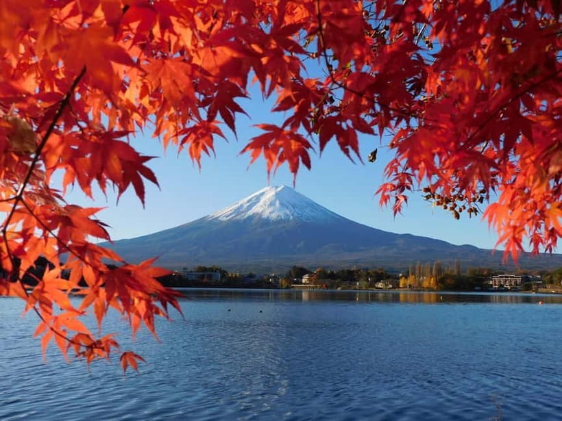 Tokyo:Mt.Fuji,Kawaguchiko Oishi Park,Arakurayama Sengen Park - Arakurayama Sengen Park and the famous pagoda view