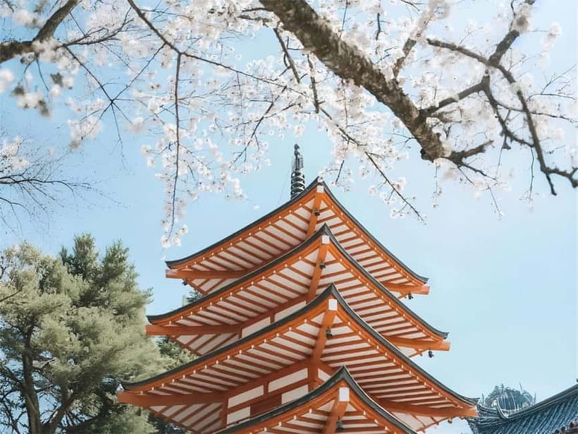 Tokyo: Mt. Fuji & Lake Kawaguchi Instagram Full Day Trip - Oishi Park and the changing seasons at Lake Kawaguchi