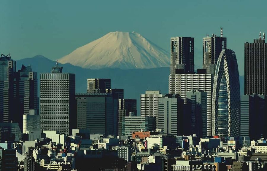 Tokyo: Mt. Fuji & Lake Kawaguchi Private Tour with Transfer - What the private guides add