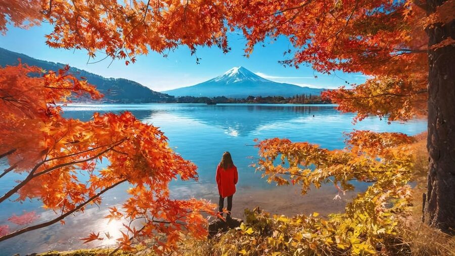 Tokyo: Mt Fuji Lake Kawaguchi & Yamanaka Hot Spring Day Tour - Oshino Hakkai, spring water, and a proper food break