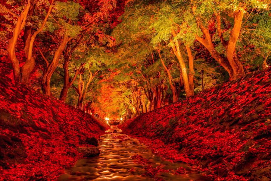 Tokyo: Mt Fuji Lake Kawaguchi & Yamanaka Hot Spring Day Tour - Benifuji no Yu adds a Japanese bathing experience