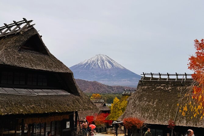 Tokyo: Mt.Fuji & Lake Kawaguchiko 1-Day Bus Tour w/Optional Lunch - The real value of the $77.96 price