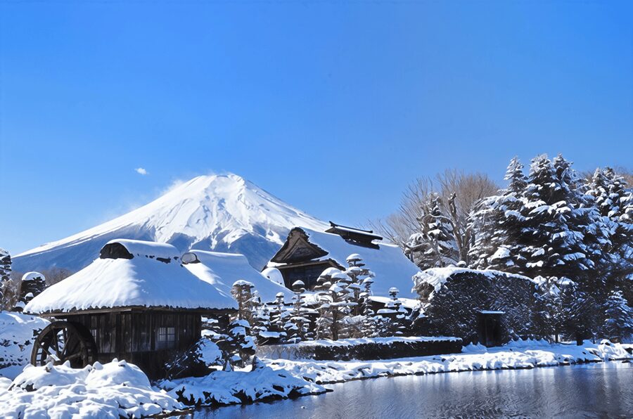 Tokyo: Mt Fuji Lake Kawaguchiko Tour & Arakuyama Sengen Park - Key points to know before booking