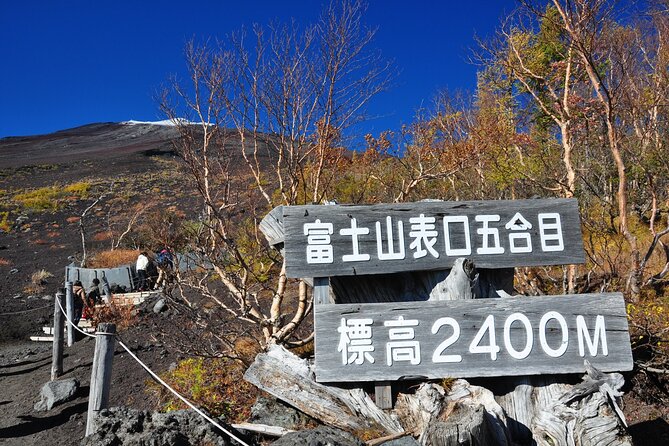Tokyo: Mt. Fuji, Oshino Hakkai and Gotemba Outlets 1-Day Bus Tour - Key points at a glance