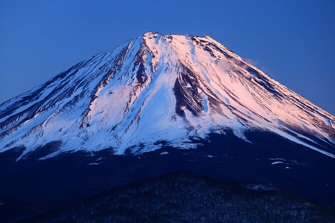 Tokyo: Mt. Fuji, Oshino Hakkai and Gotemba Outlets 1-Day Bus Tour - Starting from Shinjuku Station