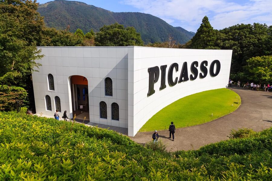 Tokyo: Mt. Fuji, Owakudani, Hakone Shrine, & Open-Air Museum - Who should book this Hakone outing?