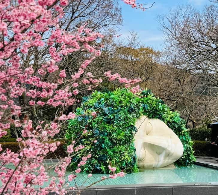 Tokyo: Mt. Fuji, Owakudani, Hakone Shrine, & Open-Air Museum - Owakudani and the smell of a live volcano