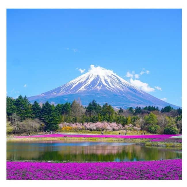 Tokyo: Mt Fuji Private Day Tour By English Driver Low Price - What the $344 private price really buys you