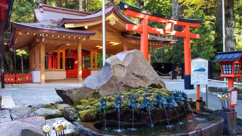 Tokyo: Mt. Fuji Tour, Hakone Ropeway, Owakudani, Lake Ashi - Above Hakone on the ropeway