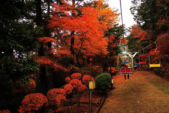 Tokyo: Mt Takao Tour with Ramen and Tattoo-Okay Hot Spring - Why Mt Takao Makes a Good Break From Tokyo