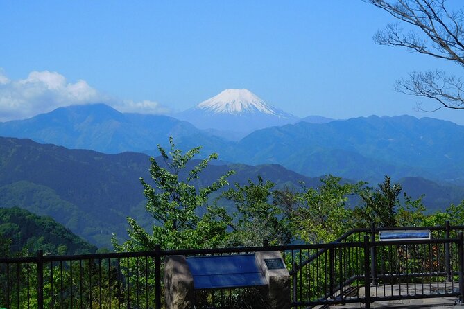 Tokyo: Mt Takao Tour with Ramen and Tattoo-Okay Hot Spring - The Takao 599 Museum Sets the Scene