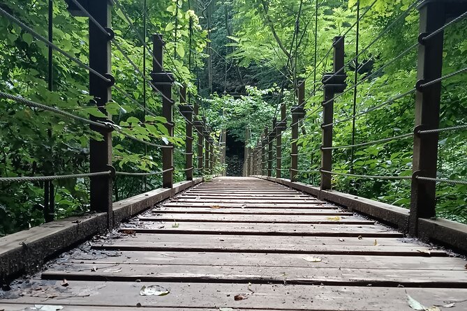 Tokyo: Mt Takao Tour with Ramen and Tattoo-Okay Hot Spring - Monkeys and Wildflowers on the Upper Slopes