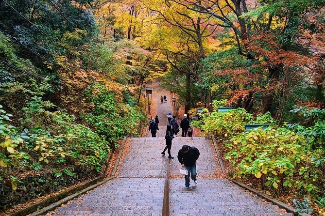 Tokyo: Mt Takao Tour with Ramen and Tattoo-Okay Hot Spring - A Mountain Lunch of Hachioji Ramen or Soba