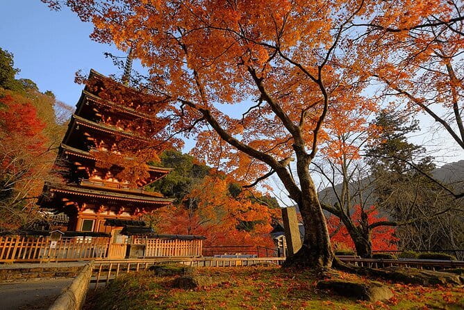 Tokyo Nagano Snow Monkey Park and Zenkoji Temple English driver - Obuse brings in Hokusai and chestnut country