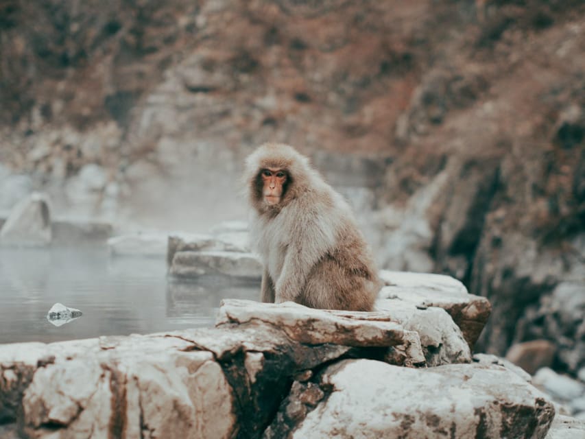Tokyo: Nagano, Snow Monkeys and Zenko-ji Temple Private Tour - Shibu Onsen is more than a photo stop