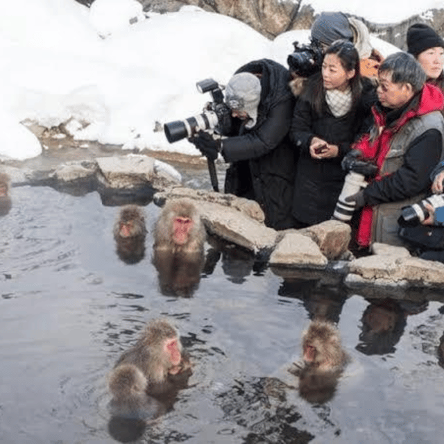 Tokyo: Nagano Snow Monkeys and Zenkoji Tour with Temples - Key points at a glance