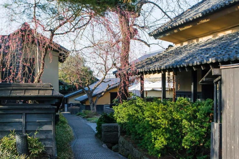 Tokyo: Nagano Snow Monkeys and Zenkoji Tour with Temples - Pickup flexibility is a major advantage