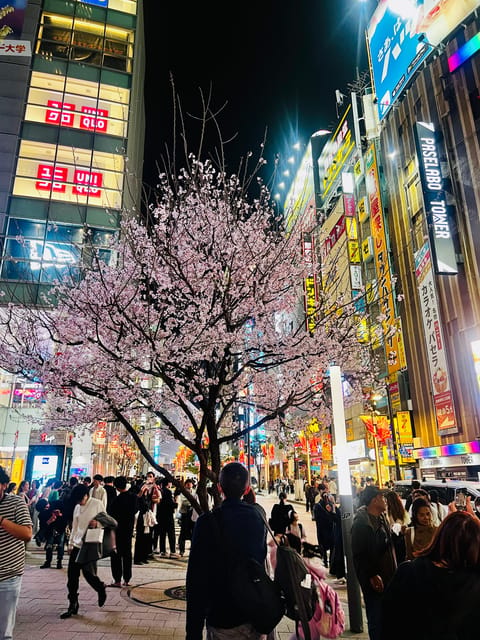 Tokyo Night Drive Wangan Expressway and Daikoku PA - Who will get the most from this night drive