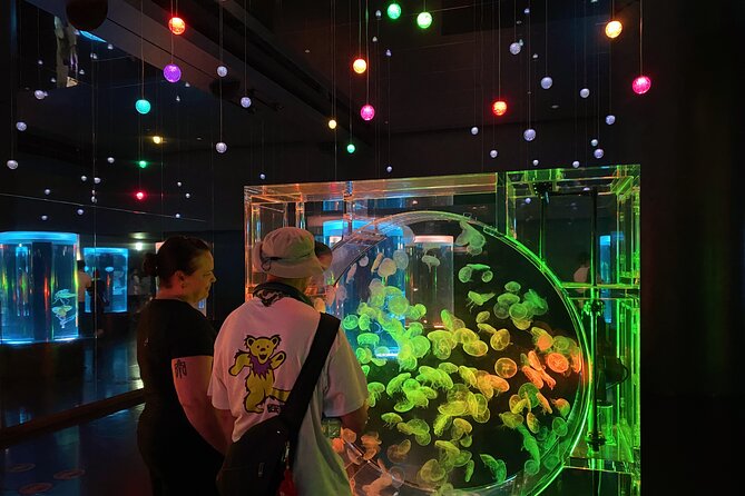 Tokyo Night E-Bike Tour with Tokyo Tower and Dolphin Show