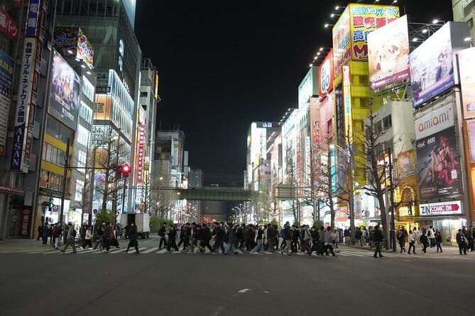Tokyo Night Tour Akihabara, Shibuya, Karaoke and City Lights - Starting quietly in Ueno Park