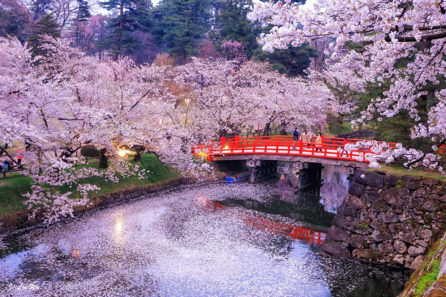 Tokyo: Nikko Day Tour Shrines, Lake Chūzenji & Kegon Falls - Starting Early in a Private Car