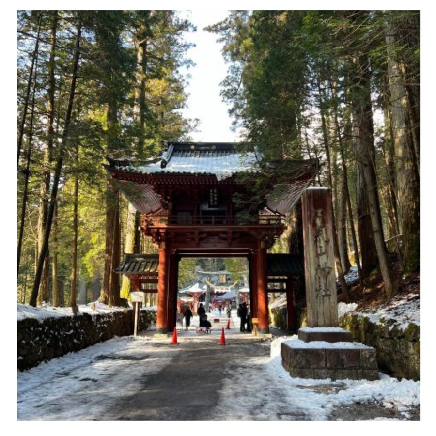 Tokyo: Nikko Day Tour Shrines, Lake Chūzenji & Kegon Falls - Timing, Walking, and Practical Limits