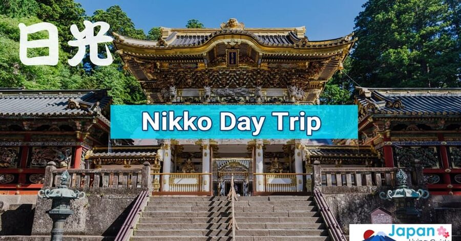 Tokyo: Nikko Day Tour with English Driver and Flexible … - Kegon Falls and the 300-foot drop