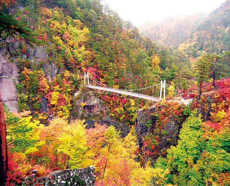 Tokyo: Nikko Day Tour with English Driver and Flexible … - Toshogu Shrine: Nikko’s grand historical centerpiece