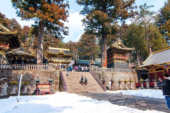 Tokyo Nikko Day Trip: Toshogu Shrine, Lake Chuzenji & Kegon Falls - Key points to know before booking