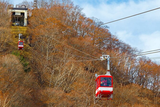 Tokyo Nikko Day Trip: Toshogu Shrine, Lake Chuzenji & Kegon Falls - Who will enjoy this Nikko day trip